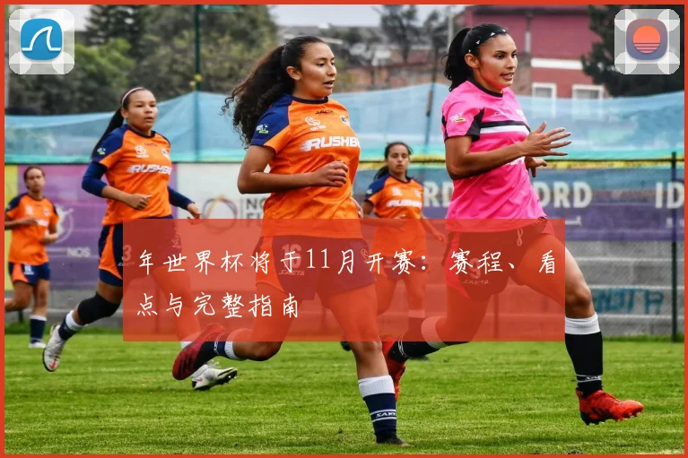 年世界杯将于11月开赛:赛程、看点与完整指南